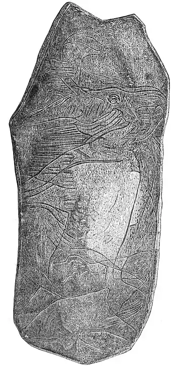 PSM V01 D225 Ivory fossil.jpg