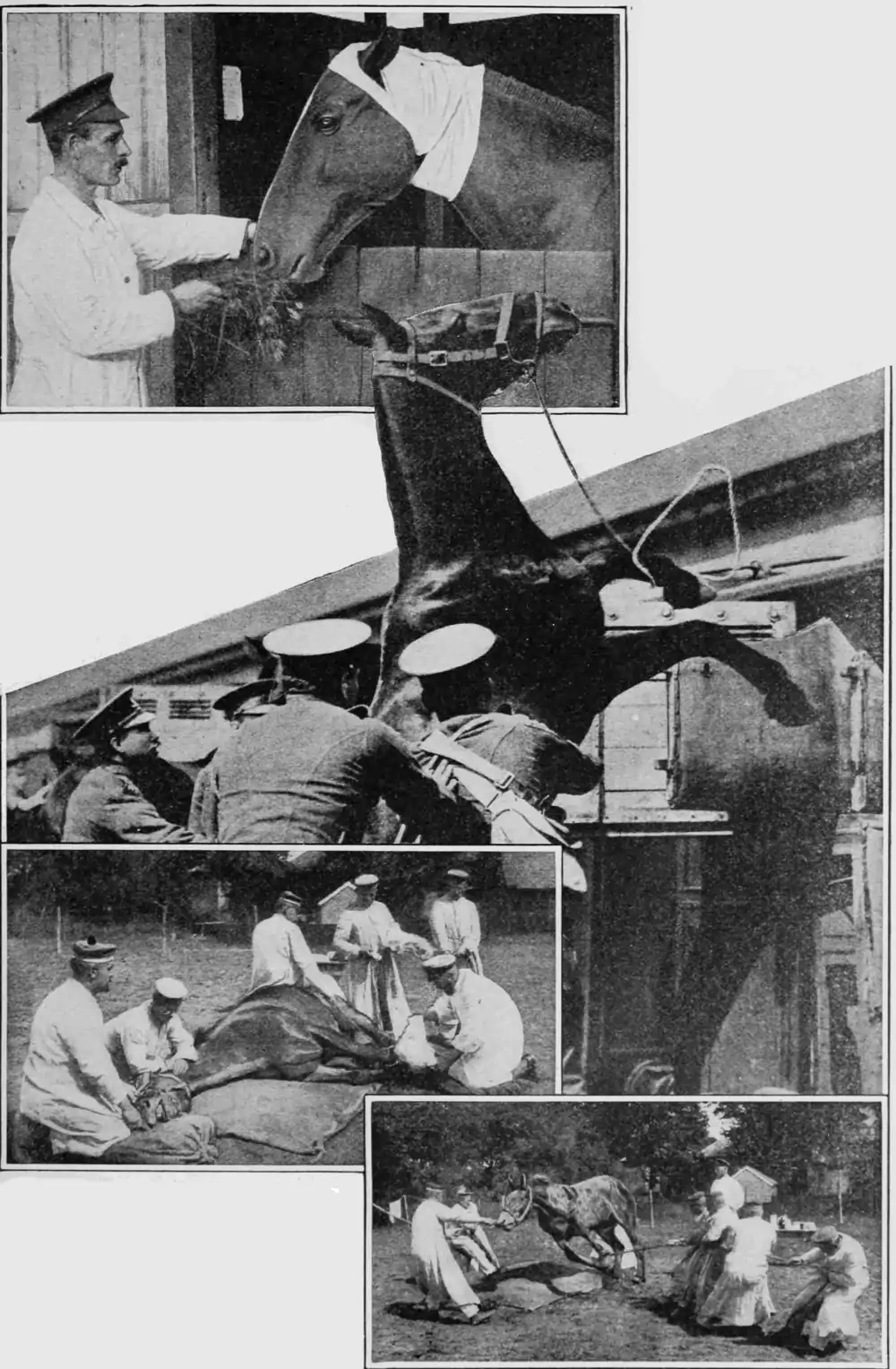 three different images