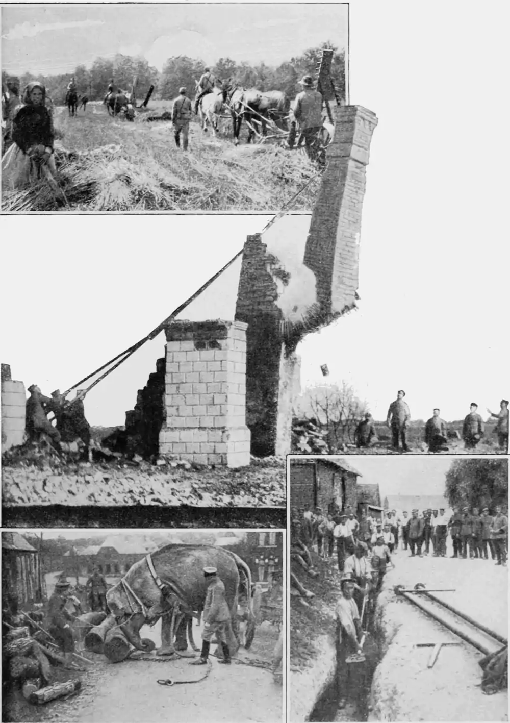several images