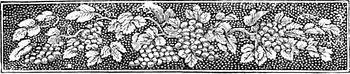 click to enlarge this image