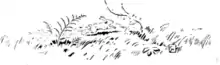 Page 169 illustration from The Fables of Æsop (Jacobs).png