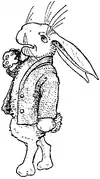 PeterRabbitandhisma14.png