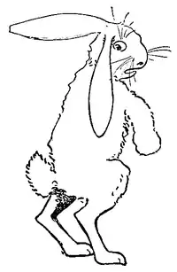 PeterRabbitandhisma17.png