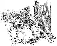 PeterRabbitandhisma20.png