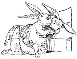 PeterRabbitandhisma22.png