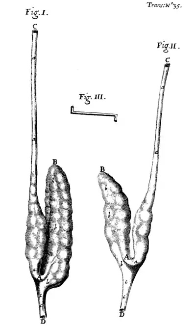Philosophical Transactions - Volume 003 No 35 Figs 1 - 3.png