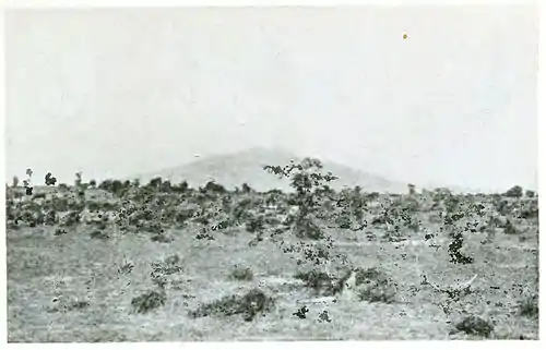 Fig. 28. Mt Popa.