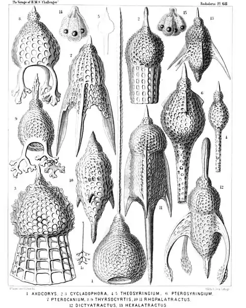Plate 68.