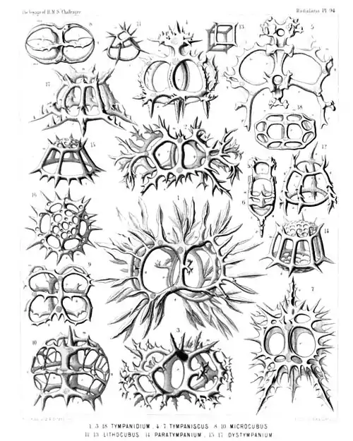 Plate 94.