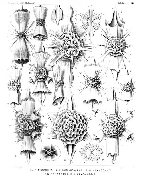 Plate 140.
