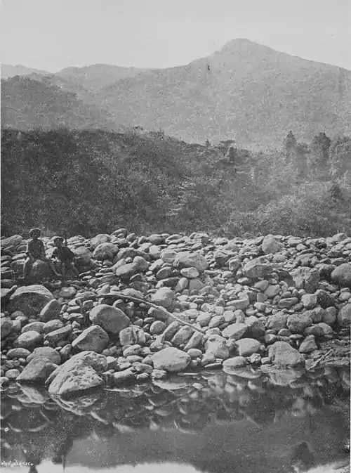 Right bank of Lakoli river, Formosa.jpg