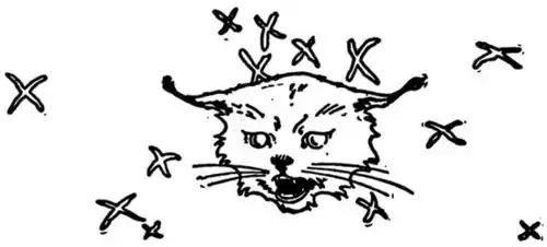 Rootabaga Pigeons - Story 23 headpiece p207.png