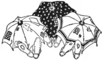 Rootabaga Pigeons - Story 7 endpiece p53.png