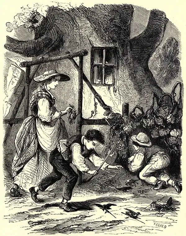 SFR b+w - a raid upon the pigeons.jpg