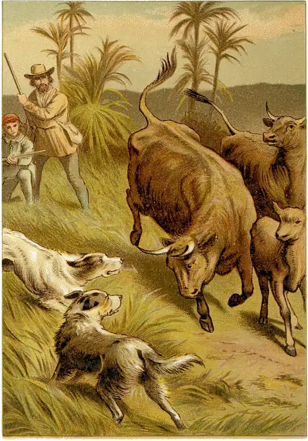 SFR color - dogs and cattle.jpg