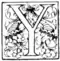 Y
