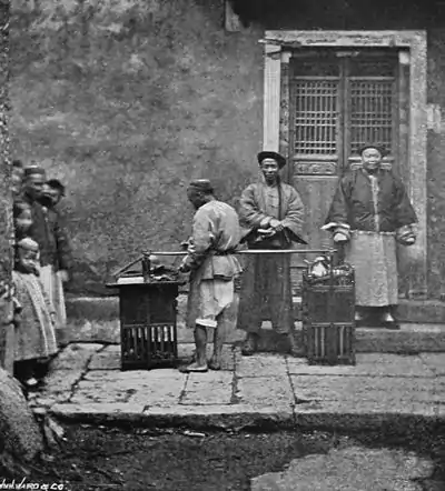 TRAVELLING COOK.jpg