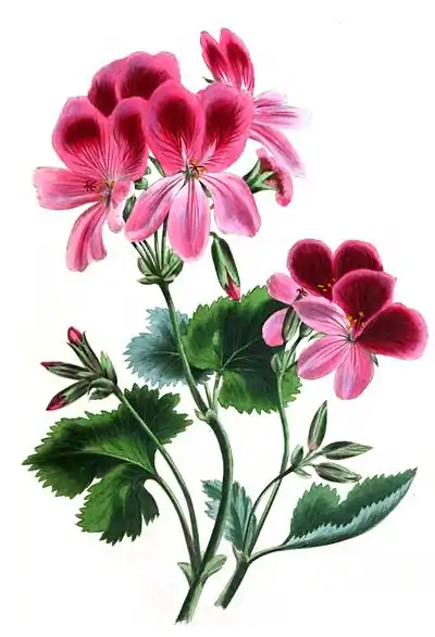 TheRomanceOfNature 0177.jpg