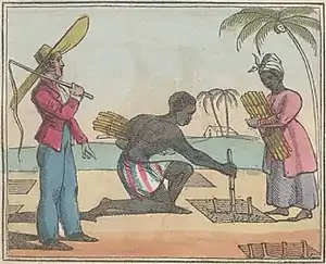 The Black Man's Lament or How To Make Sugar (page 13 crop).jpg