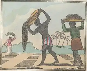 The Black Man's Lament or How To Make Sugar (page 14 crop).jpg