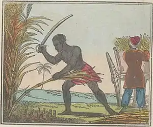 The Black Man's Lament or How To Make Sugar (page 16 crop).jpg