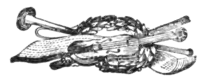 The Elocutionist - Title.png