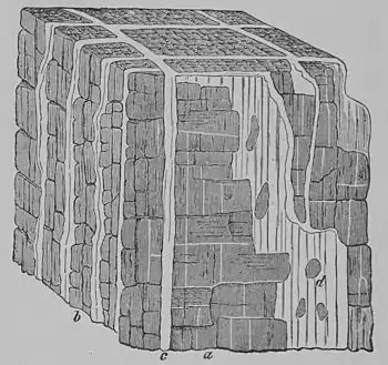 The Oak (Marshall Ward) Fig 47.jpg