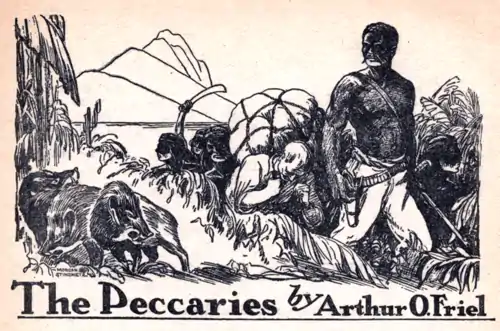 The Peccaries by Arthur O. Friel