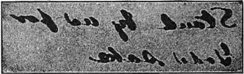 The Return of Sherlock Holmes 1905 - p298.jpg
