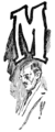 M