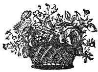 The Story of the Robins - Contents illustration.jpg
