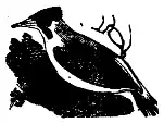 The cuckoo (bod3476) (cropped).png