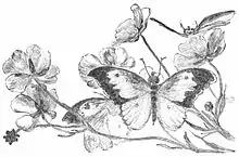 The poems of Richard Watson Gilder, 1908, image from DJVU pg 350.jpg