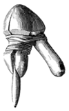 The primeval antiquities of Denmark 052a.png