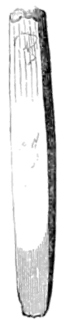 The primeval antiquities of Denmark 054b.png