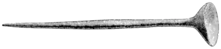The primeval antiquities of Denmark 077.png