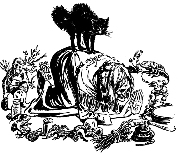 A witch crouching in a circle of objects (bones, twigs, bottles, a moneky etc). A black cat with its back arched standing on her back.