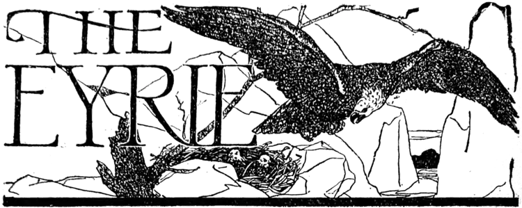 "The Eyrie", Ornamental page header shows an Eagle flying by a nest with chicks.