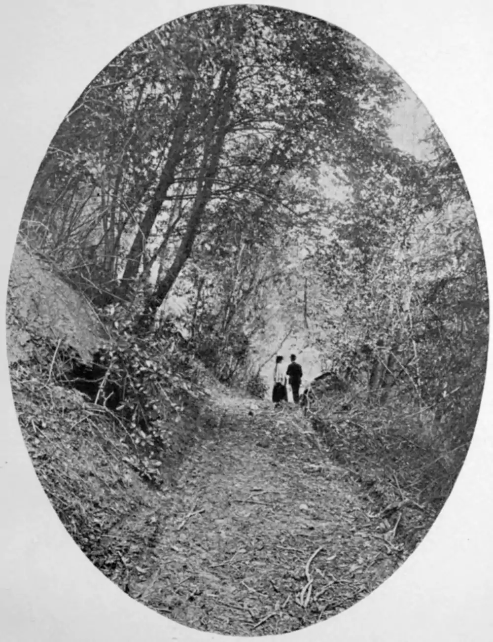 Woods photo from Poems by F. F. Victor.png