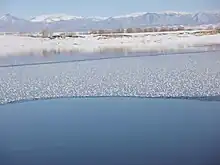 阿勒泰塘巴湖冬季