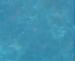 Assessing depth through a mask at the surface. About 25 m , ideal to start a dive on the top of the Edge.