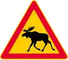 Elk or deer