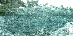 Fishpots are made of chicken wire and canes. This one was awaiting service on the Crane Beach public access road.