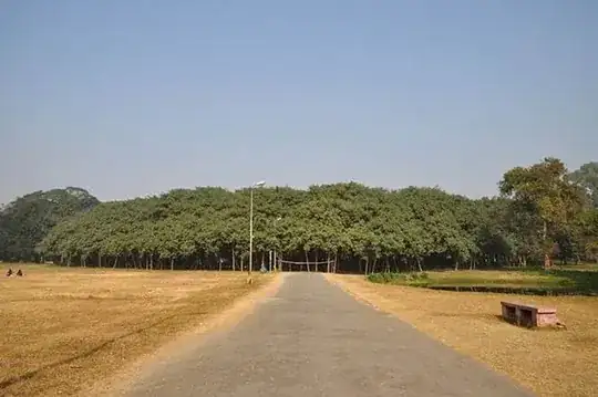 Great Banyan