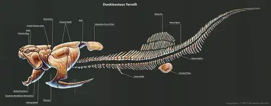 https://www.deviantart.com/thedragonofdoom/art/Dunkleosteus-Terrelli-Skeleton-Study-684293378