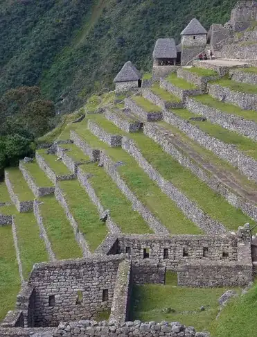 Inca style