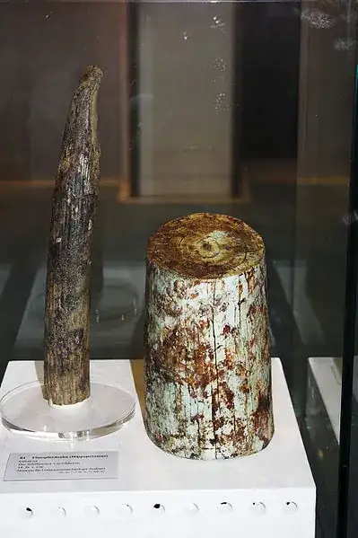 ivory from uluburun shipwreck
