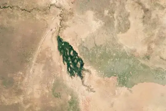 Dry Season