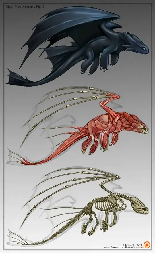 A break down of the skin, muscle and bone layers of a dragon