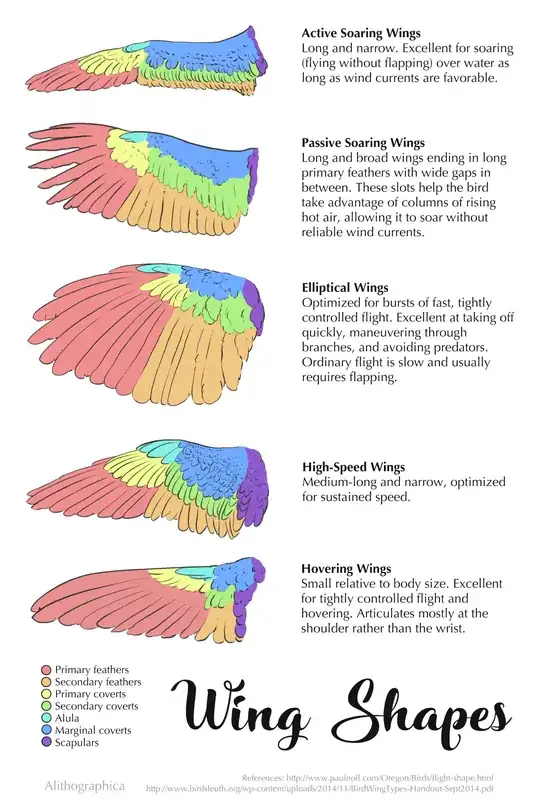 Many kinds of bird wings!